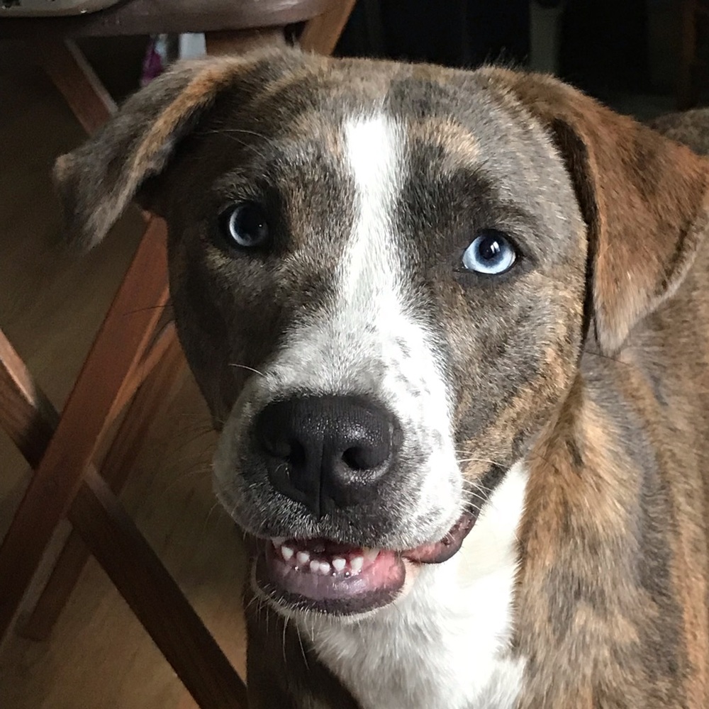 Meet your Posher, Zachary